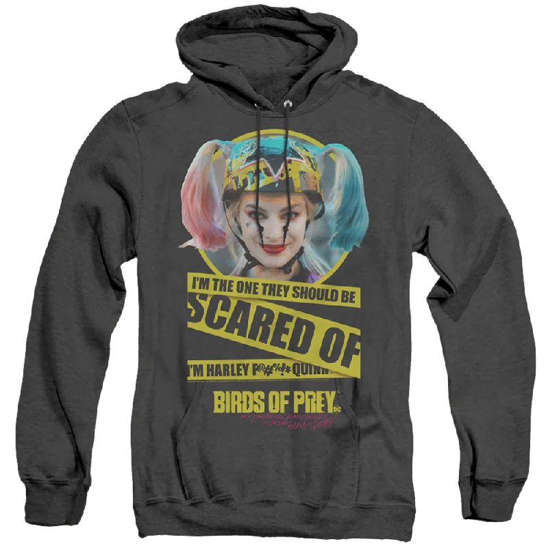 Birds of Prey Scared Of - Heather Pullover Hoodie